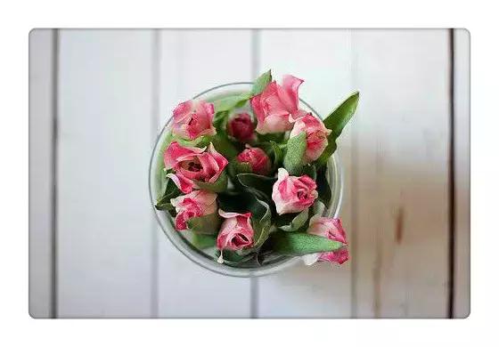 晚安美图170323：花草要看根，交人要看心