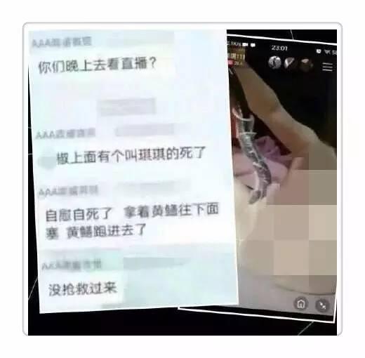 女主播花椒直接黄鳝致死？真相是这样的！