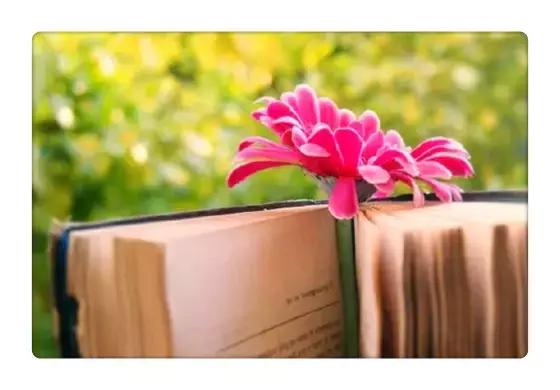 晚安美图170323：花草要看根，交人要看心