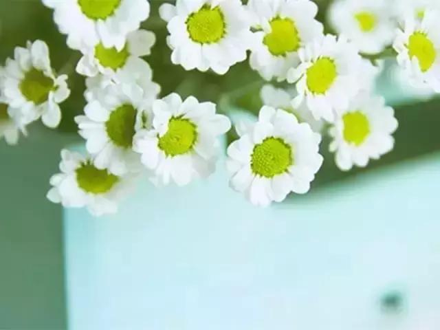 晚安美图170325：今朝有酒今朝醉，过好眼前才算对