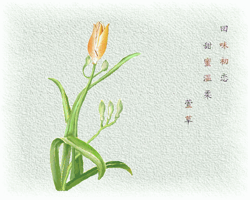 早安美图170330：人生二十别