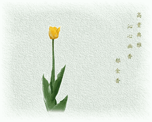 早安美图170330：人生二十别