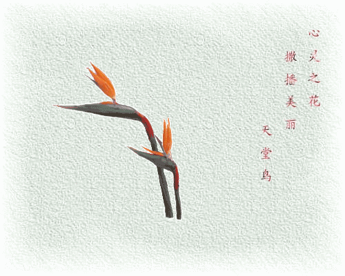 早安美图170330：人生二十别