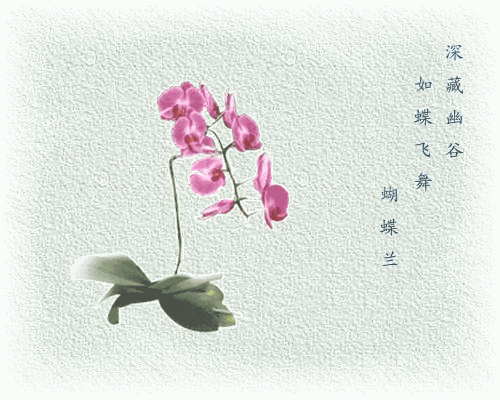 早安美图170330：人生二十别