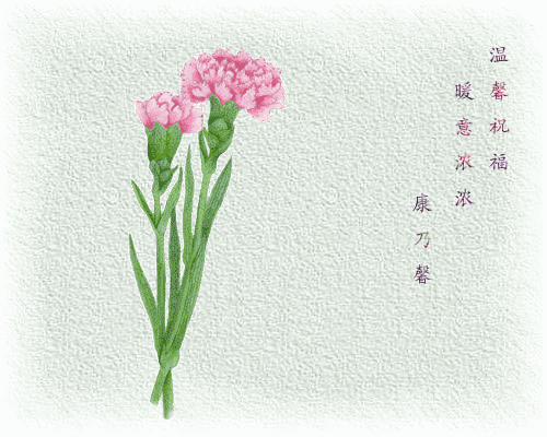 早安美图170330：人生二十别
