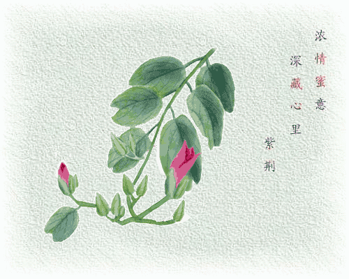 早安美图170330：人生二十别