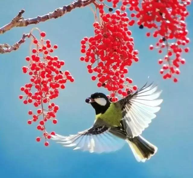 晚安美图170331：一天一年一辈子