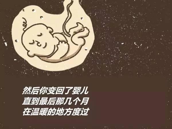 如果人生倒着来，会不会太爽