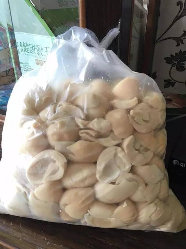 我的爱人是个白痴