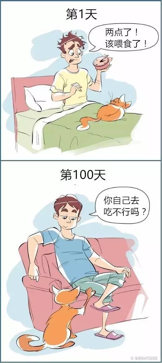 第1天和第100天，扎心了！