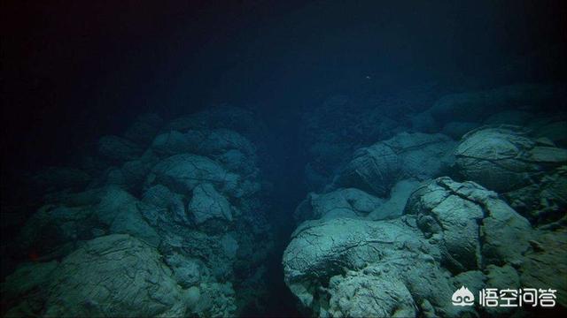 海底一万米有多恐怖能吓死人的深海恐惧图