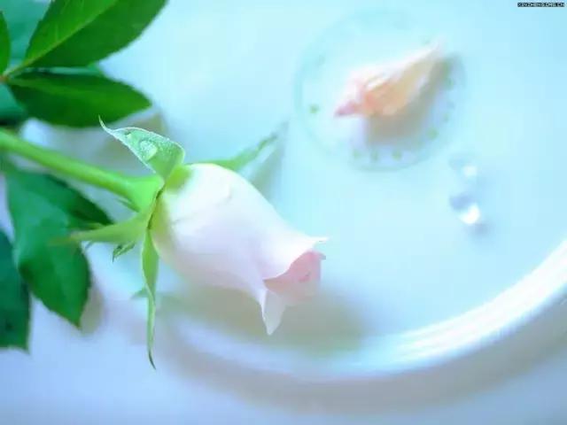 晚安美图170509：微信上有你真好