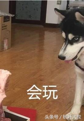 情人节送女朋友什么礼物好_7