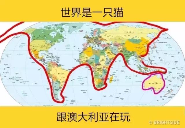 11张世界的各种地图：罩杯、魅力、智商地图等