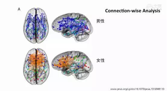 男人和女人区别很大，因为脑子！