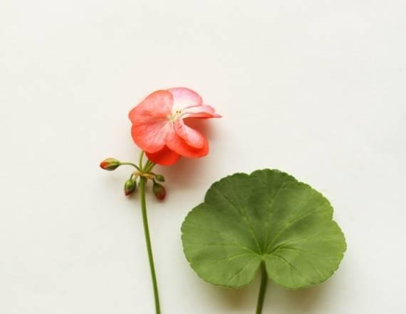 晚安美图170612：珍惜缘分，把握幸福