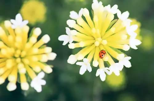 晚安美图170615：有人听就是温暖，有人懂就是真情