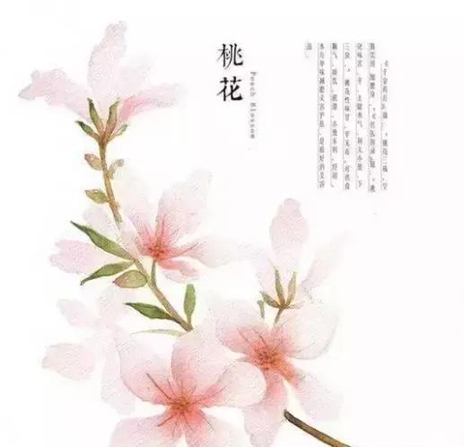 午安心语170615：总有起风的清晨，总有暖和的午后