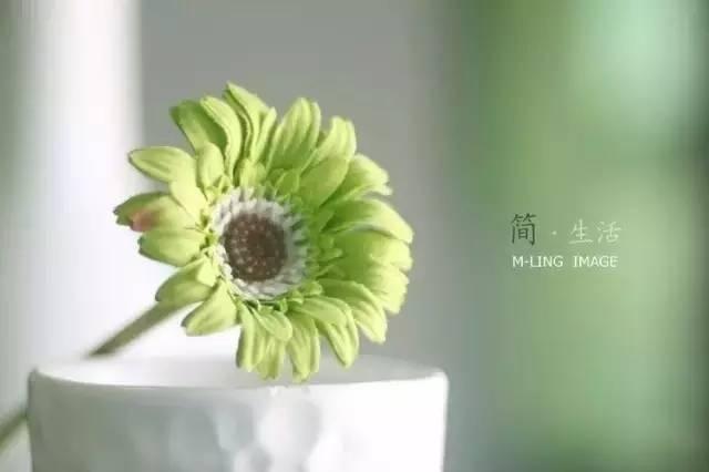 晚安文字170618：看开看淡，活就图个舒坦