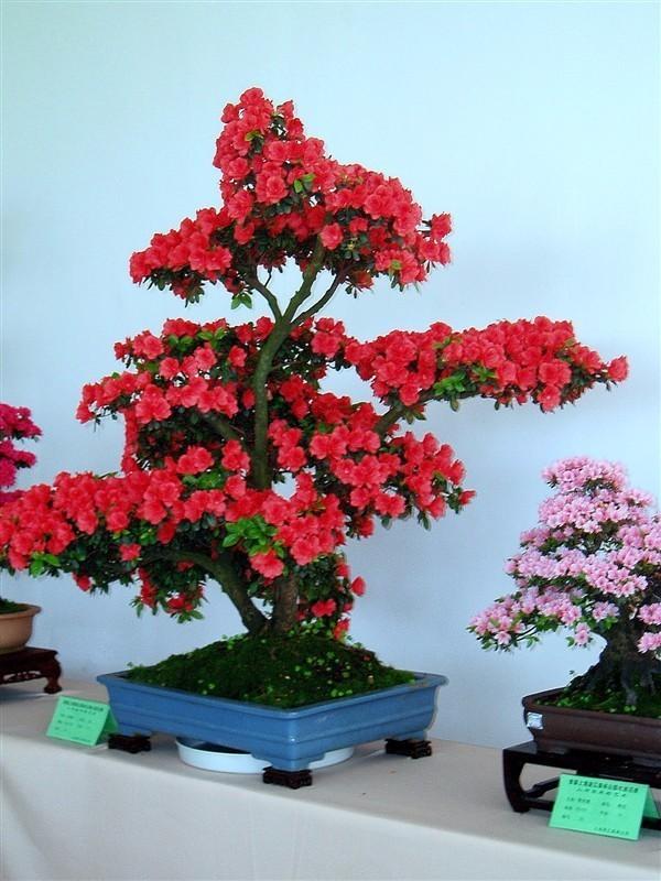 晚安文字170625：人心，都是相互的