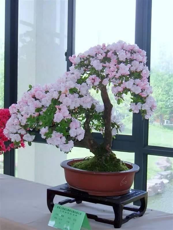 晚安文字170625：人心，都是相互的