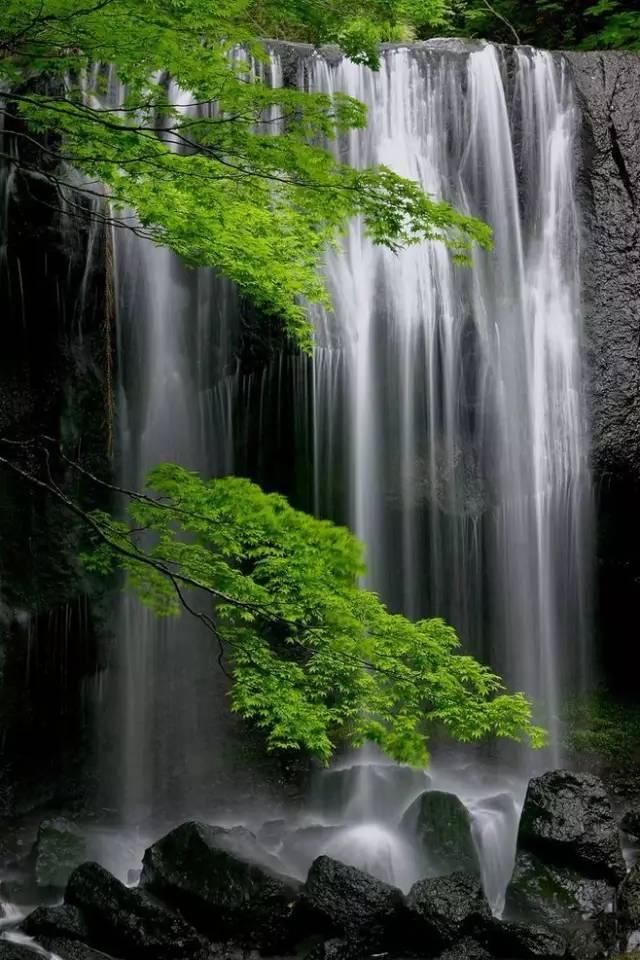 晚安美图160301：流水无情，落花有意，你可愿渡我一程？