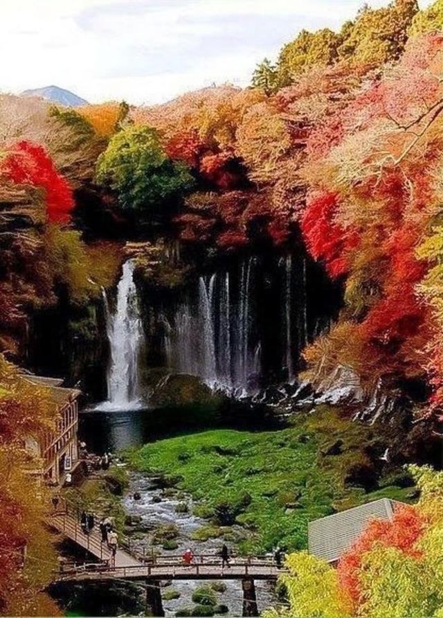 晚安美图160301：流水无情，落花有意，你可愿渡我一程？