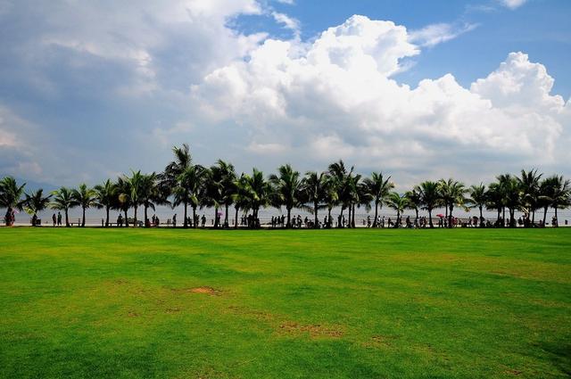 深圳红树林海滨公园，深圳情侣约会5大圣地