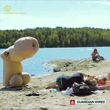15个恶作剧gif，太有创意