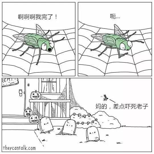 动物会说话，会怎样呢？