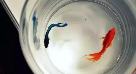 晚安文字170727：良心是一个人的做人底线