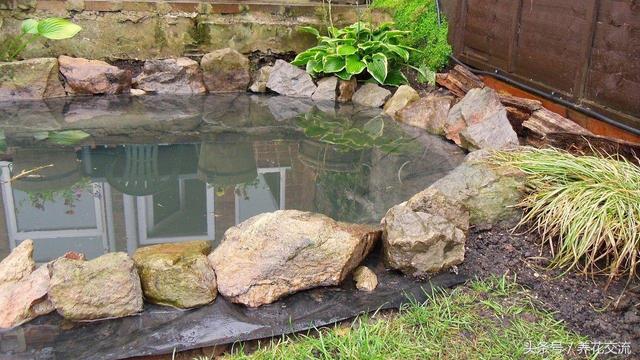 如何在院子里做水池(鹅卵石景观水池)