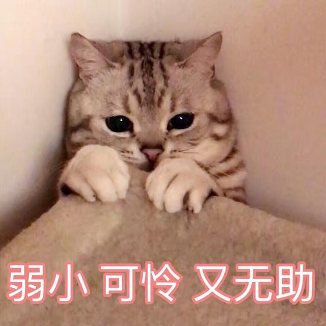 情人节要送什么礼物七夕要送什么礼物，你准备好了吗？