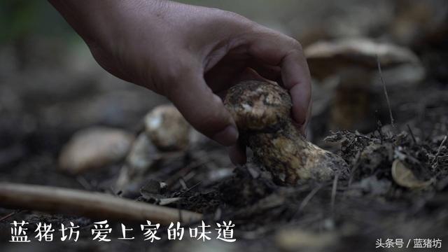 情人节送男友什么七夕情人节，用它给老公做滋补晚餐，他一定会对你疼爱有加