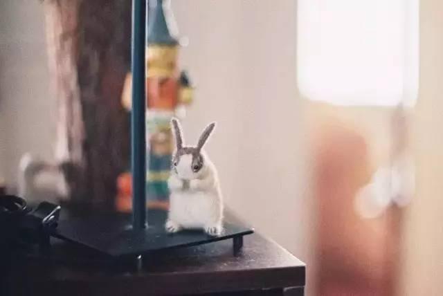 晚安七夕：致想念的人