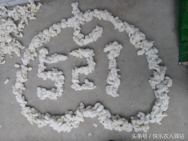 情人节送给女朋友什么礼物农村媳妇收到的情人节礼物，抠门不？
