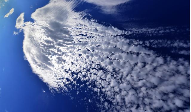 历史上凤凰起源，凤凰\