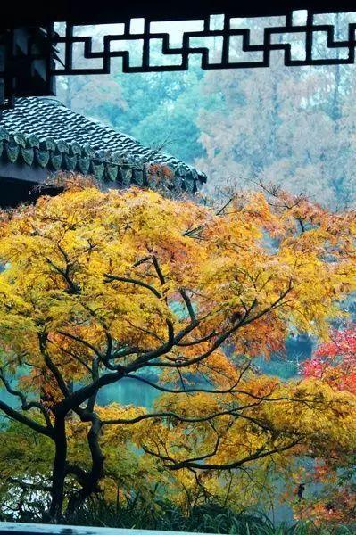 早安文字170911：人生一知己，足以慰风尘