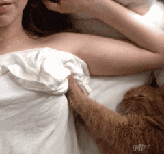 牛哥美女gif动图17p:去健身房是有原因的