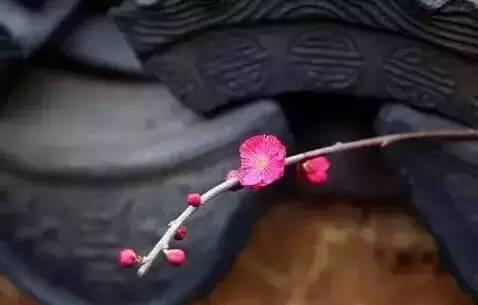 晚安哲理170925：心态不好，你将永远是个弱者