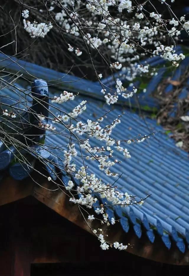 晚安哲理170925：心态不好，你将永远是个弱者