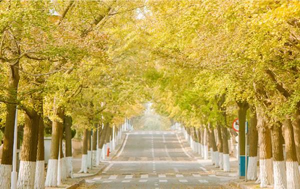 早安爱情170927：这个季节，最适合想你