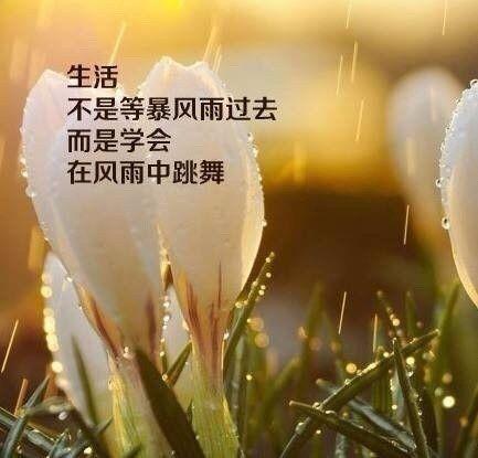 微商早安正能量一句话语录：请现在就为自己蓄积能量，加油