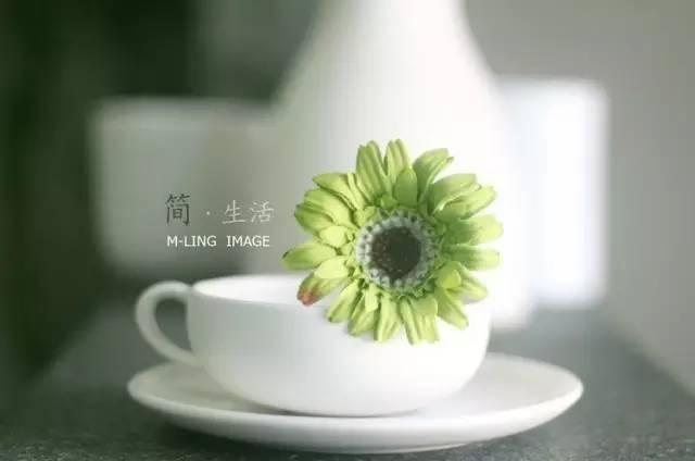 早安句子171015：岁月告诉我的那些话
