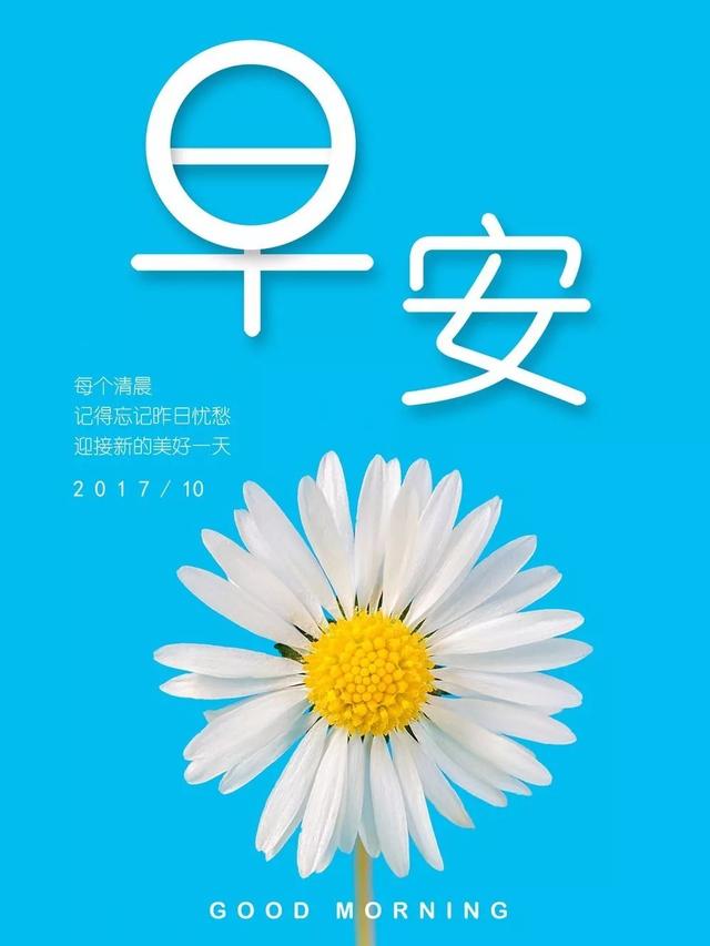 早安心语正能量171113：雄鹰不褪羽，哪能上青天