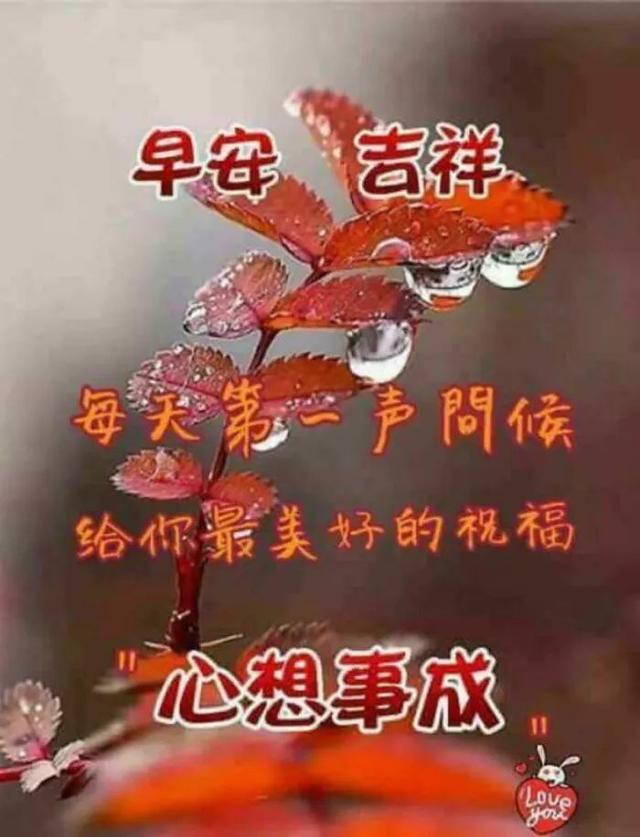 早上好的祝福图片，早上好的问候图