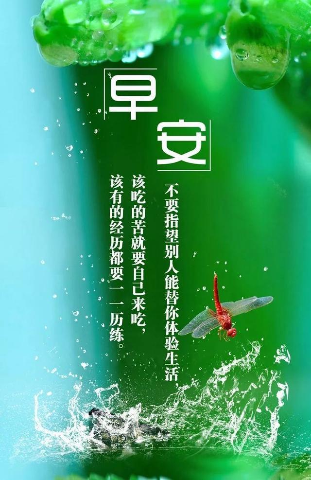 早安励志正能量171019：上路后，就勇往直前