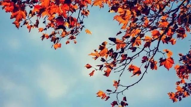 早安文字171024：我已鬓发如霜，你是否青丝如黛