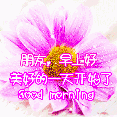 问候早安的问候语，问候早安的表情图