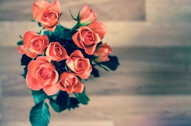 早安美文171027：读得懂风花雪月， 却走不出沧海桑田